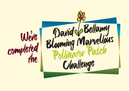 Pollinator Patch Challenge Logo - Completed