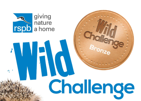 Residents hub 2023 - RSPB Wild Challenge Bronze
