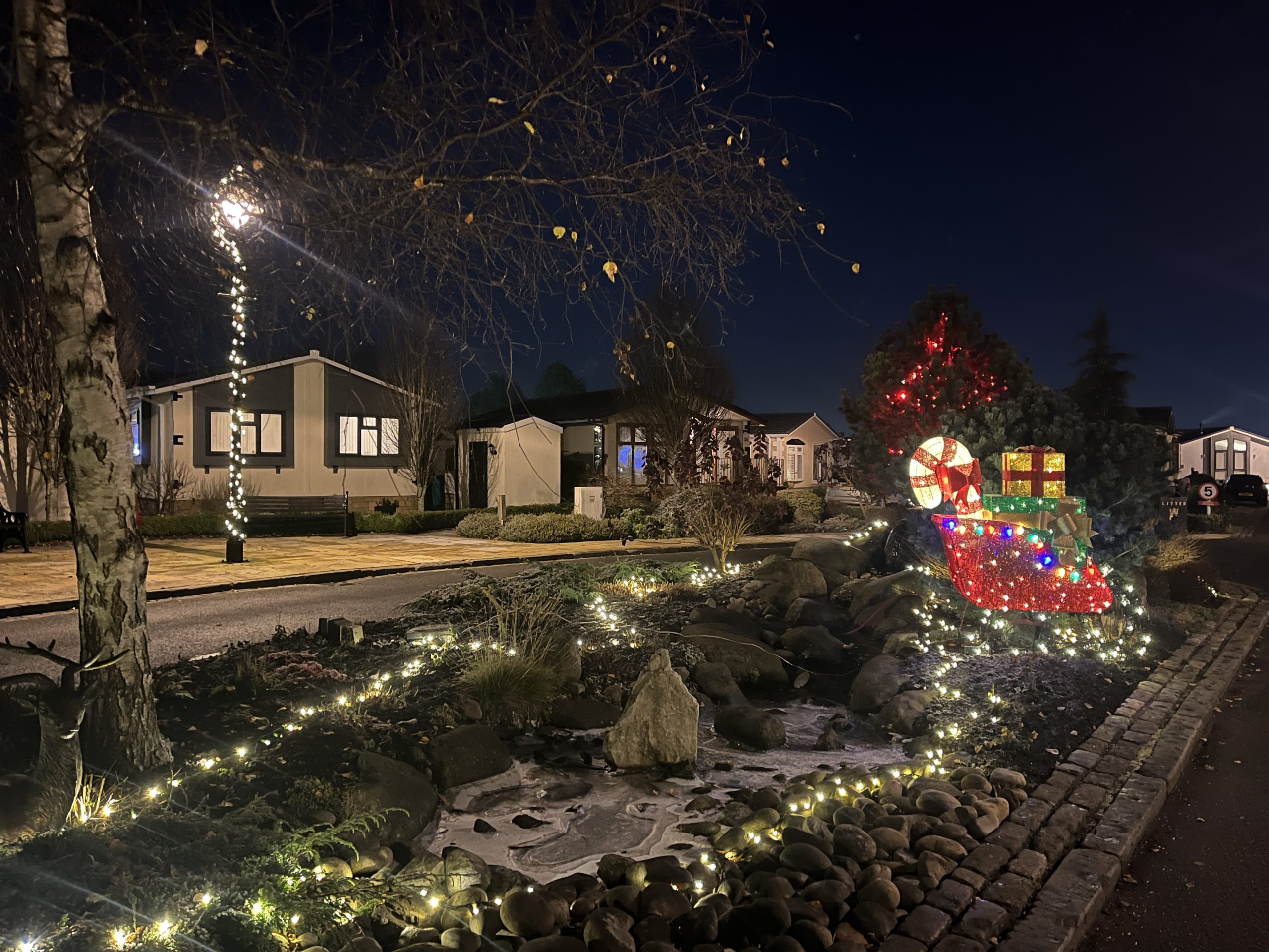 Christmas lights switch on - winter news 2023