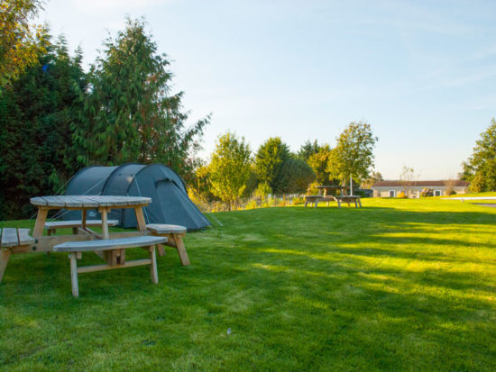 camping field at red deer village holiday park